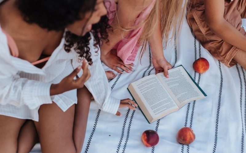 a good girls guide to murder book 2