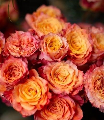 horticulture award pay rates 2024 pdf