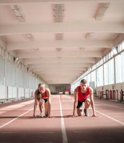 excalibur x433 remote start manual