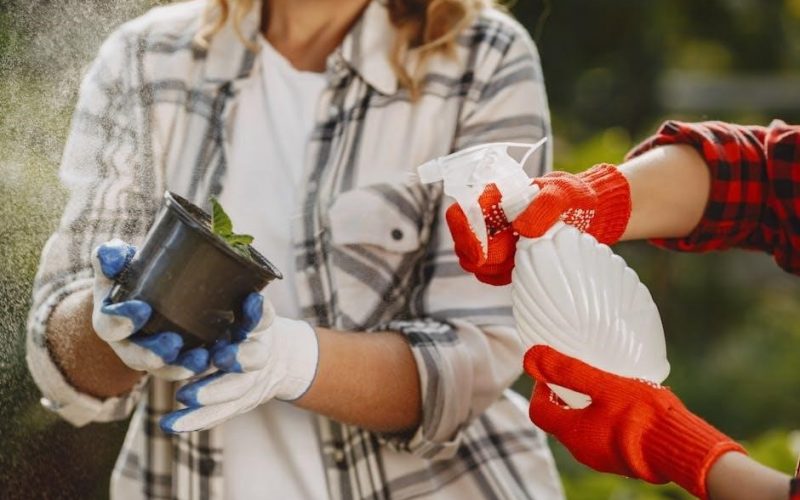 bifen it mixing instructions