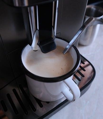 saeco incanto user manual