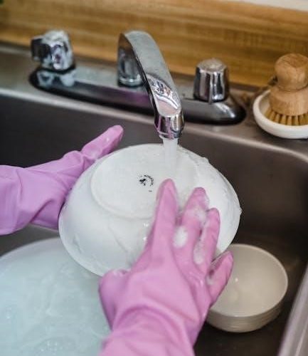 bosch series 6 dishwasher manual